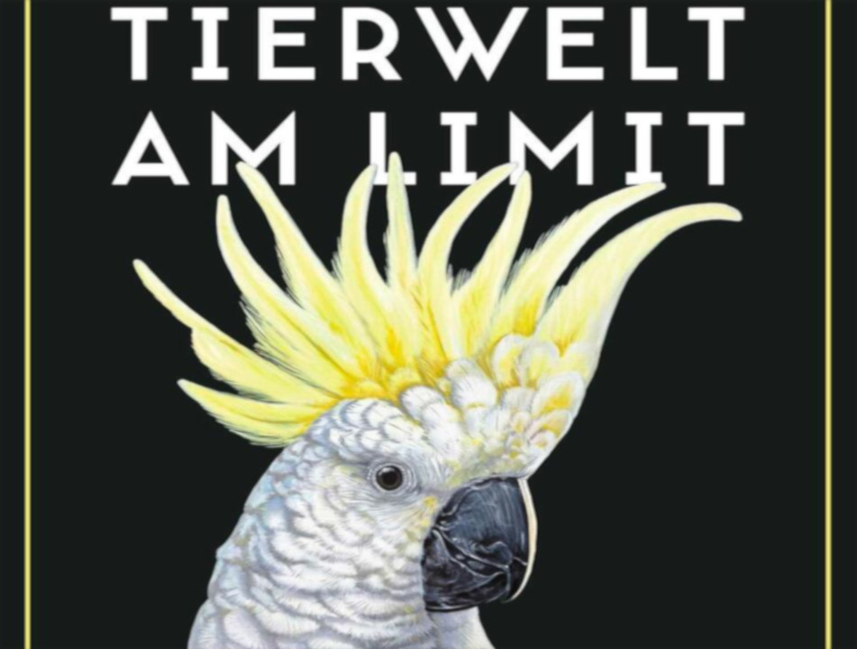 Tierwelt unter Anpassungsdruck