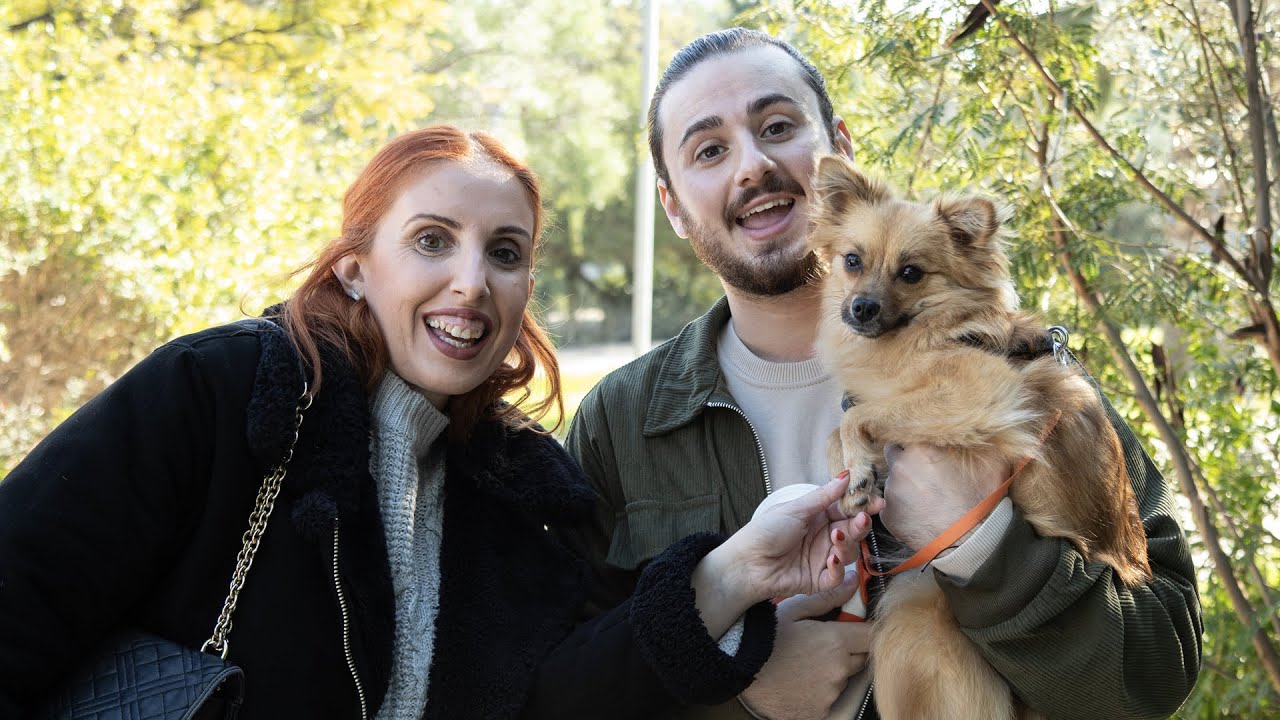 ilovestyle.com x Aroxol Pet Episode 6: Theos Blue