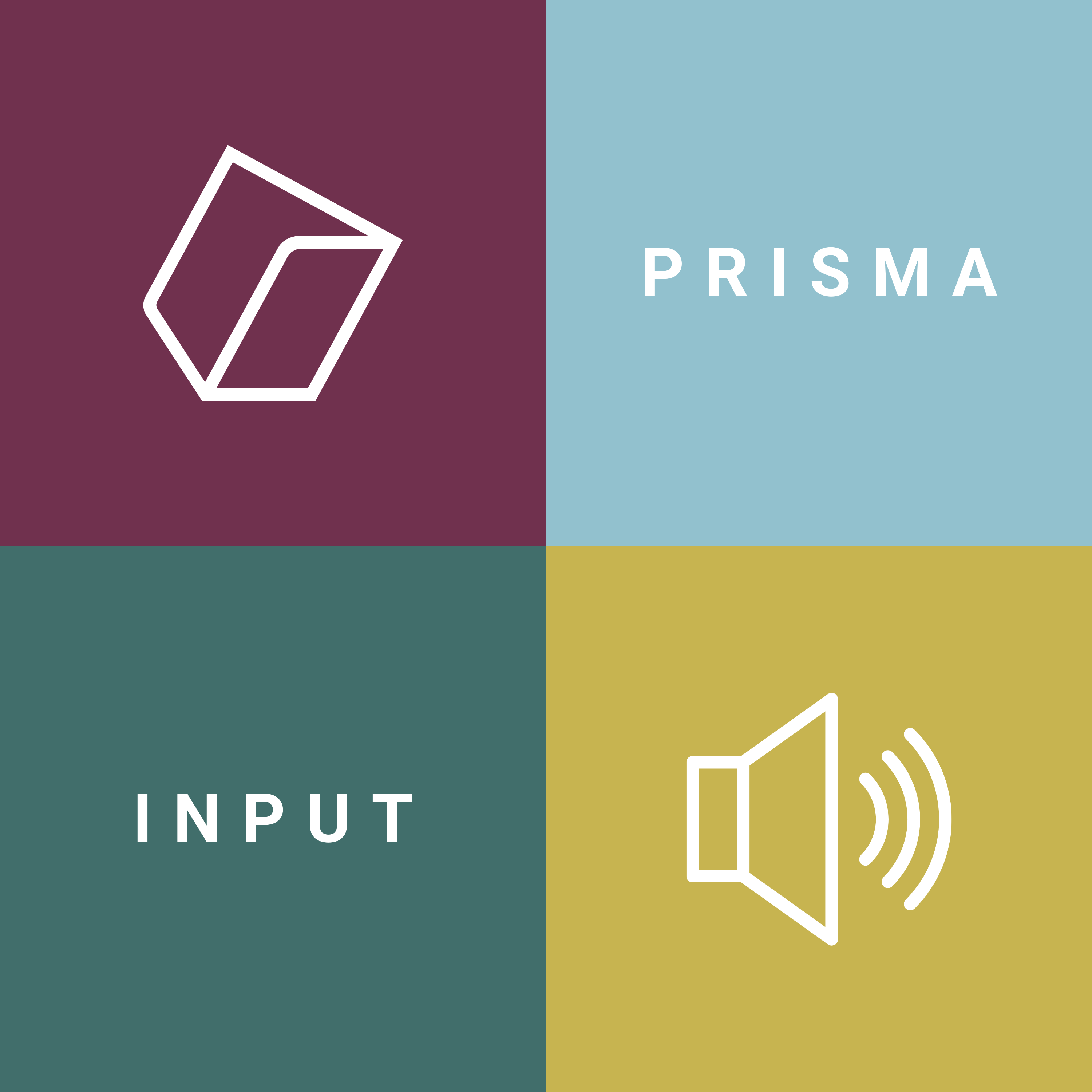 Prisma Inputs | Audio