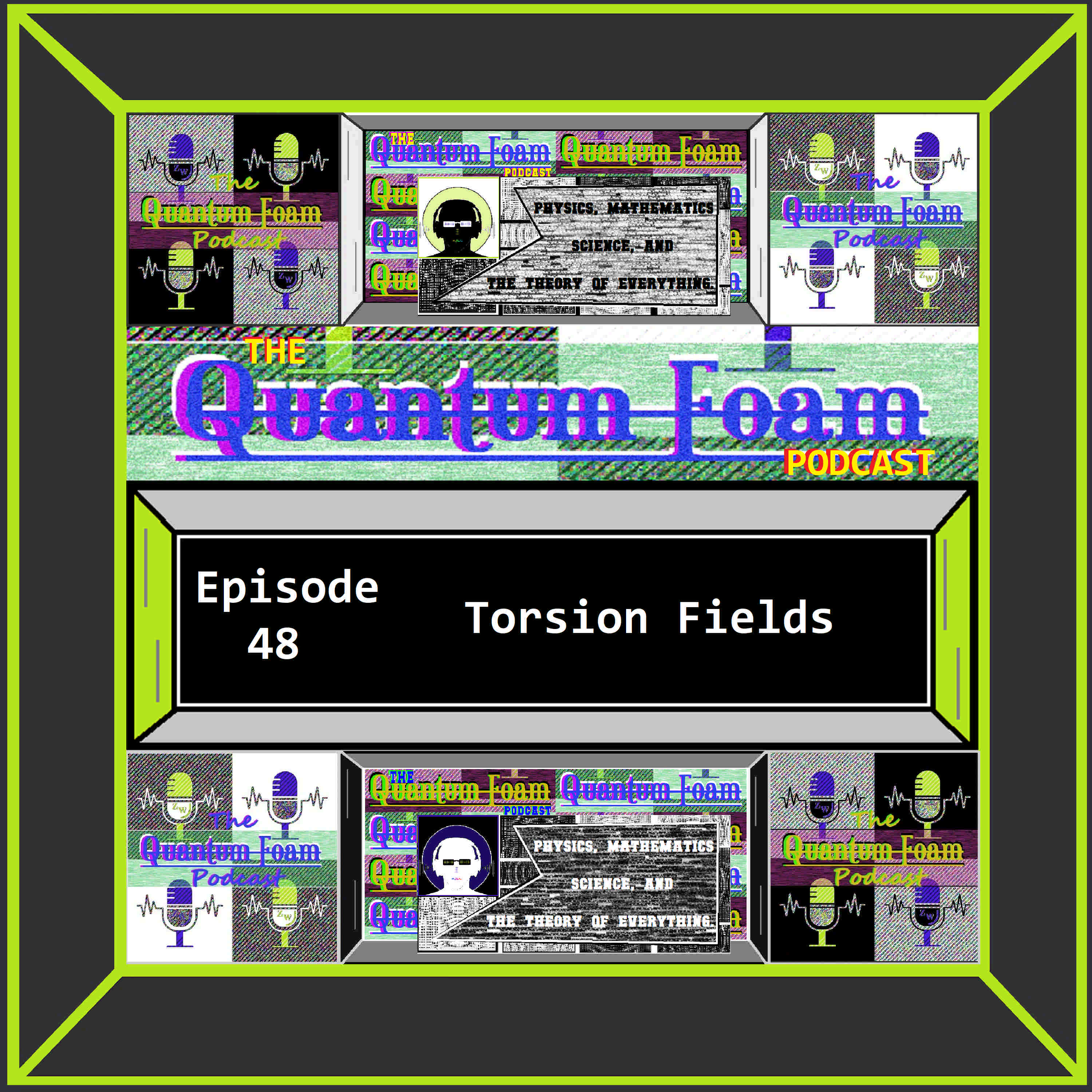 Torsion Fields