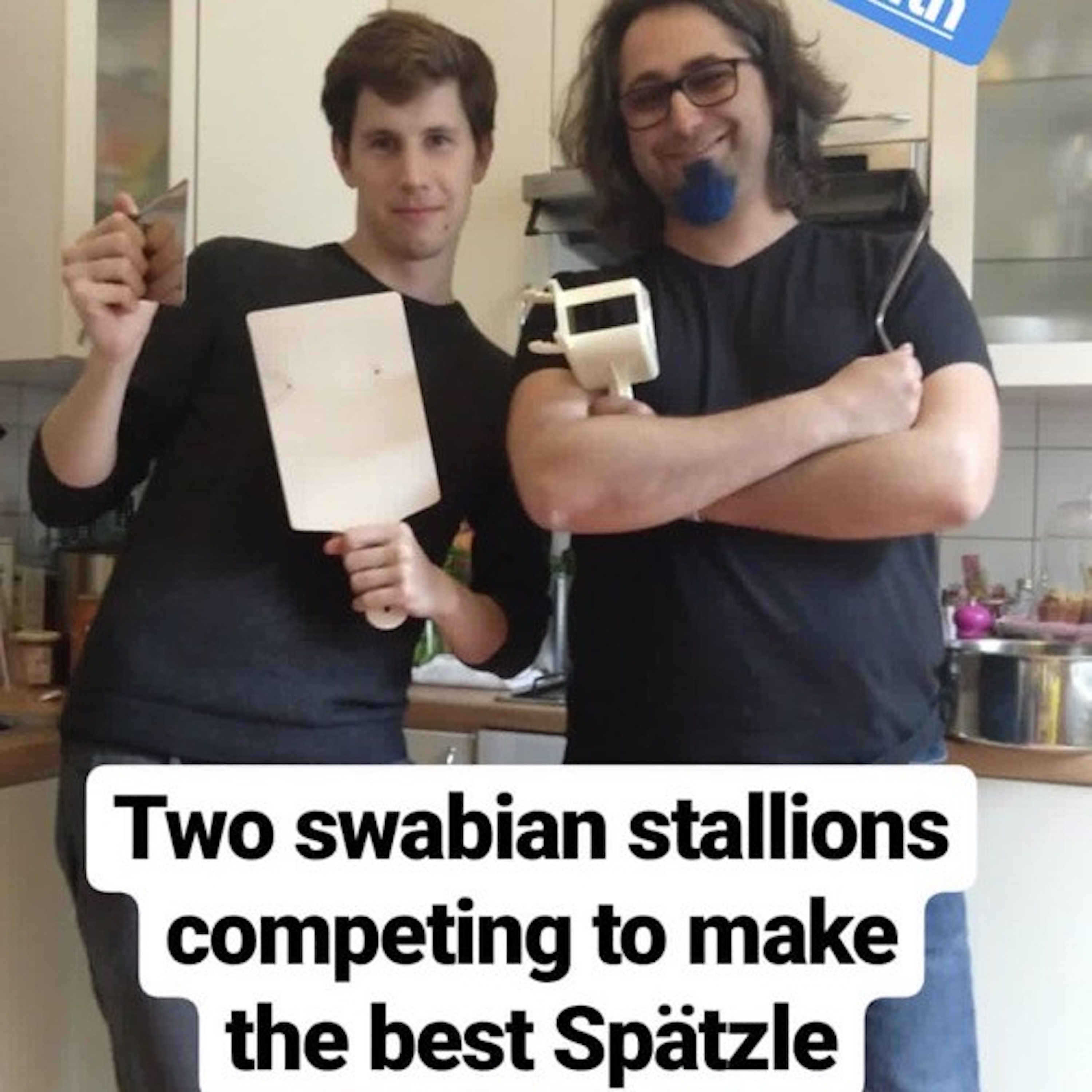 SchwÃ„SMR