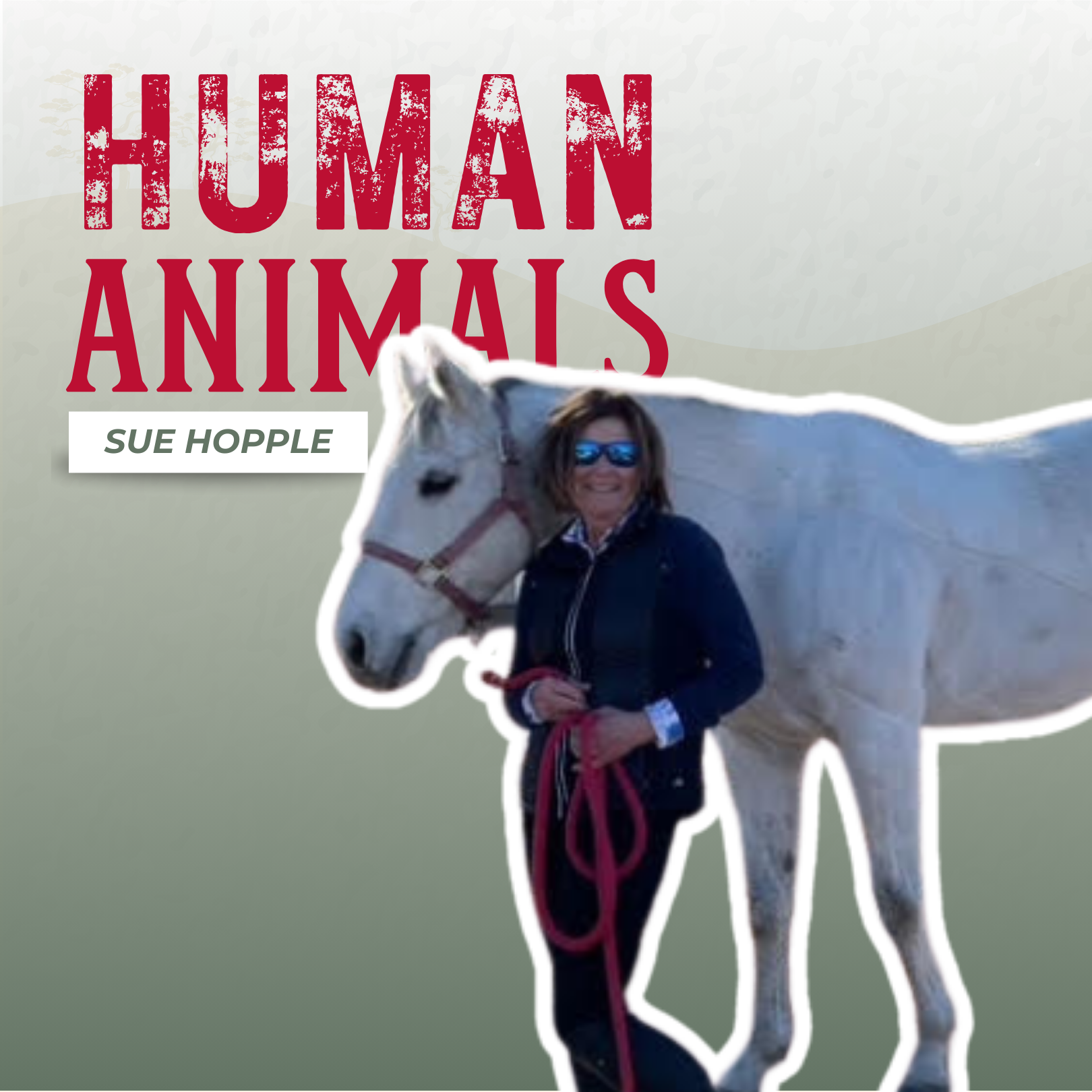 Animal Communication with Sue Hopple