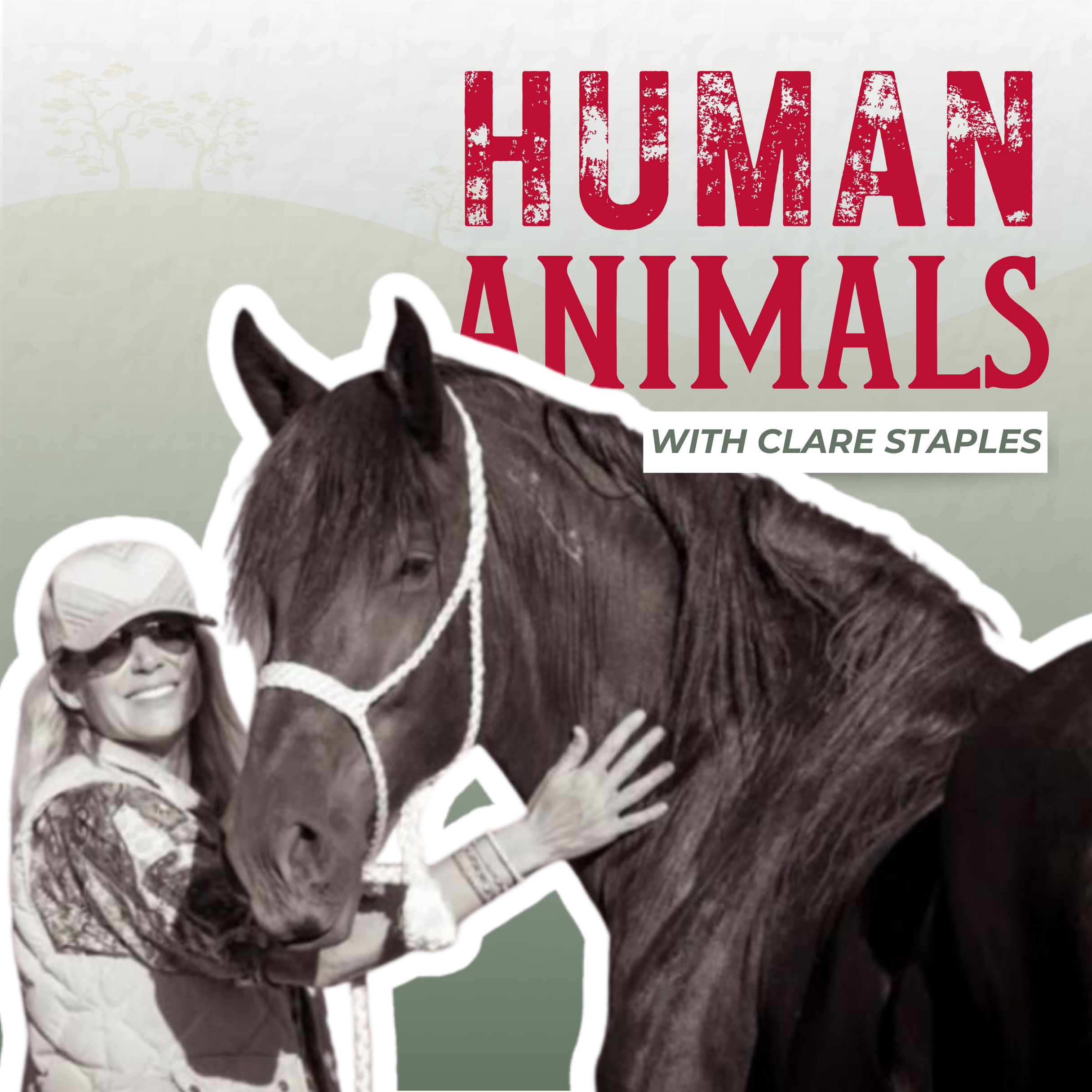 Rescuing America's Wild Horses with Clare Staples