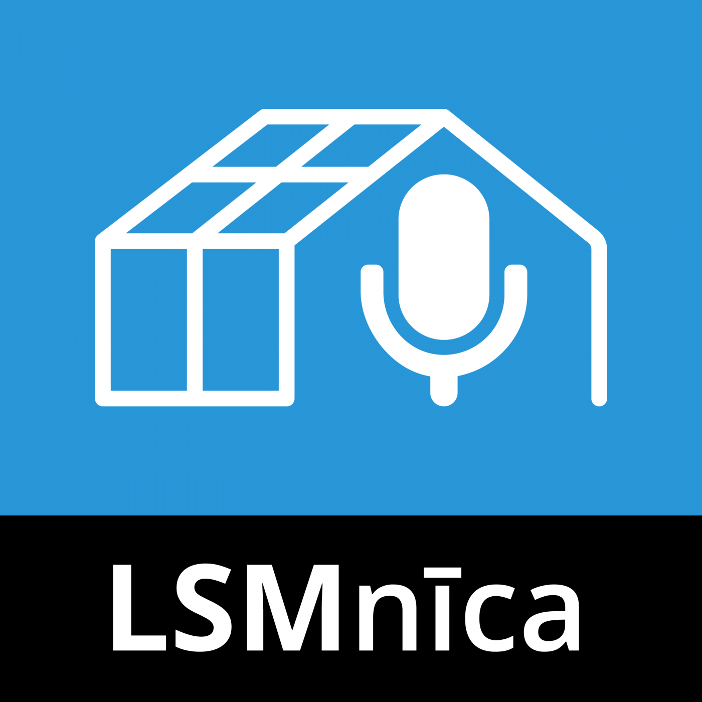LSMnÄ«ca