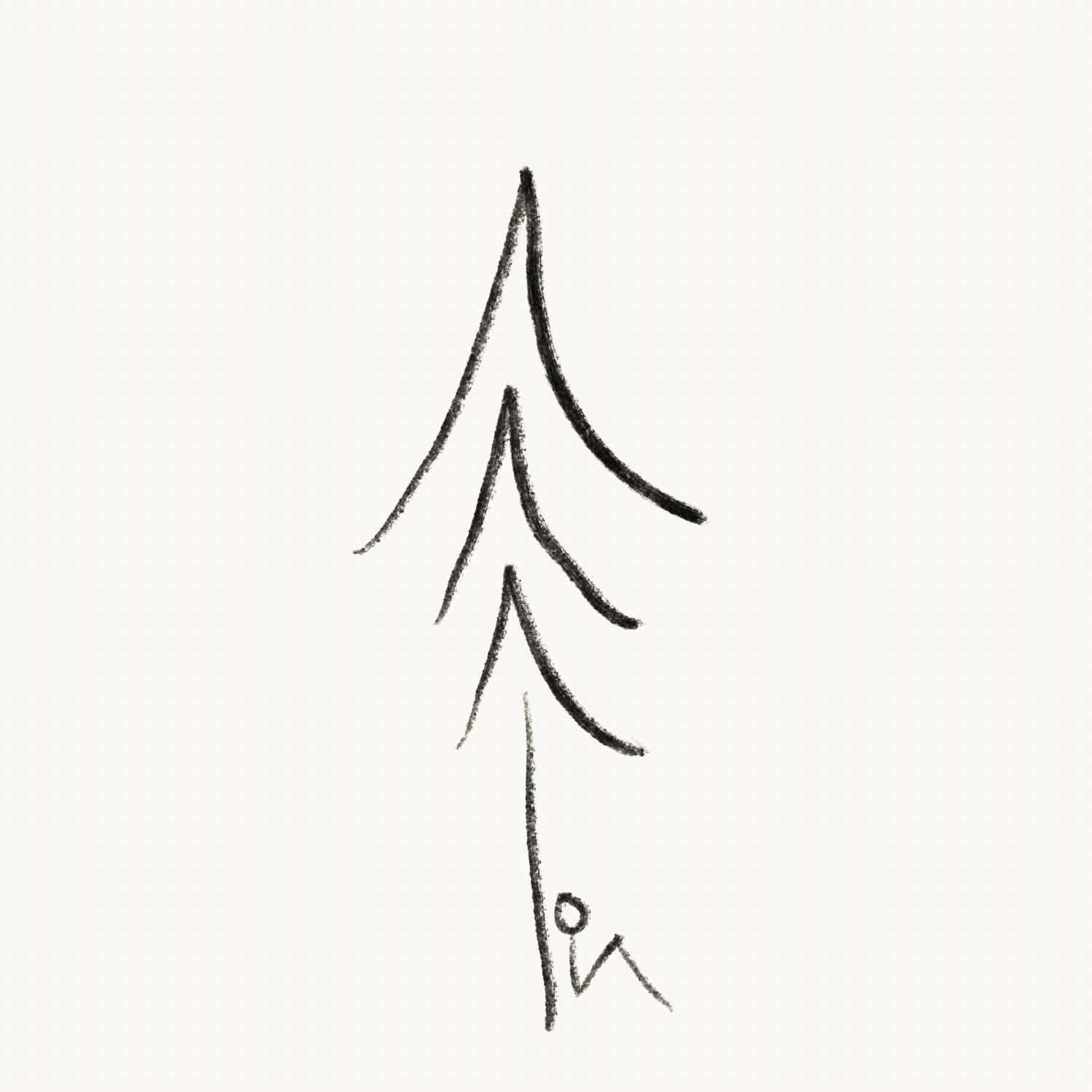 Under the Noble Cedar