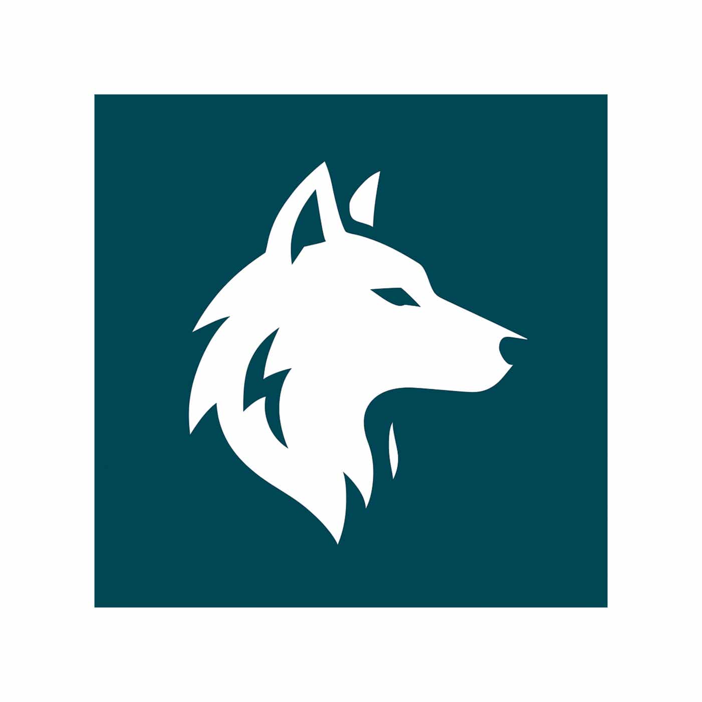 Deep Learning With The Wolf