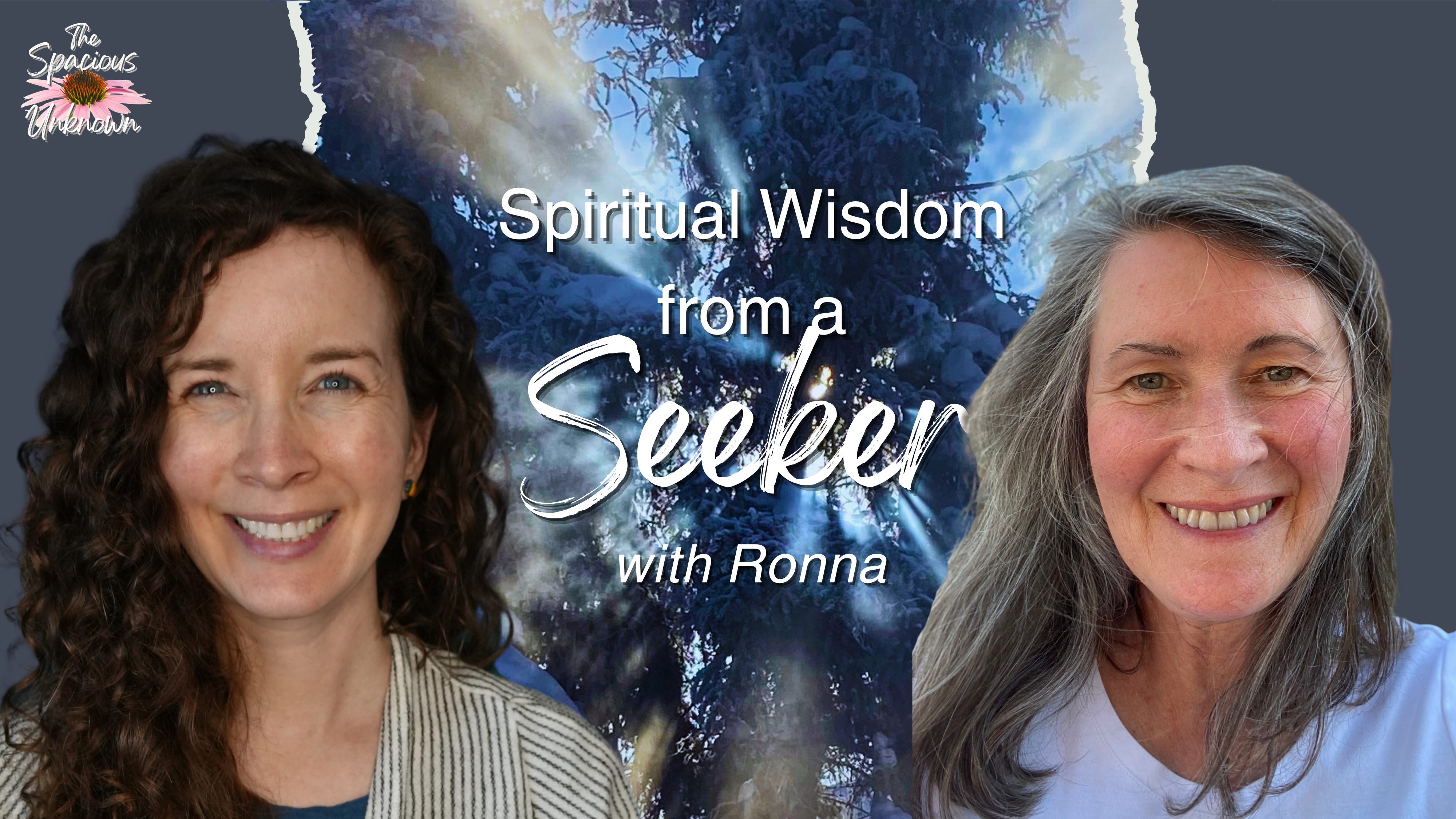 Spiritual Wisdom from a Seeker