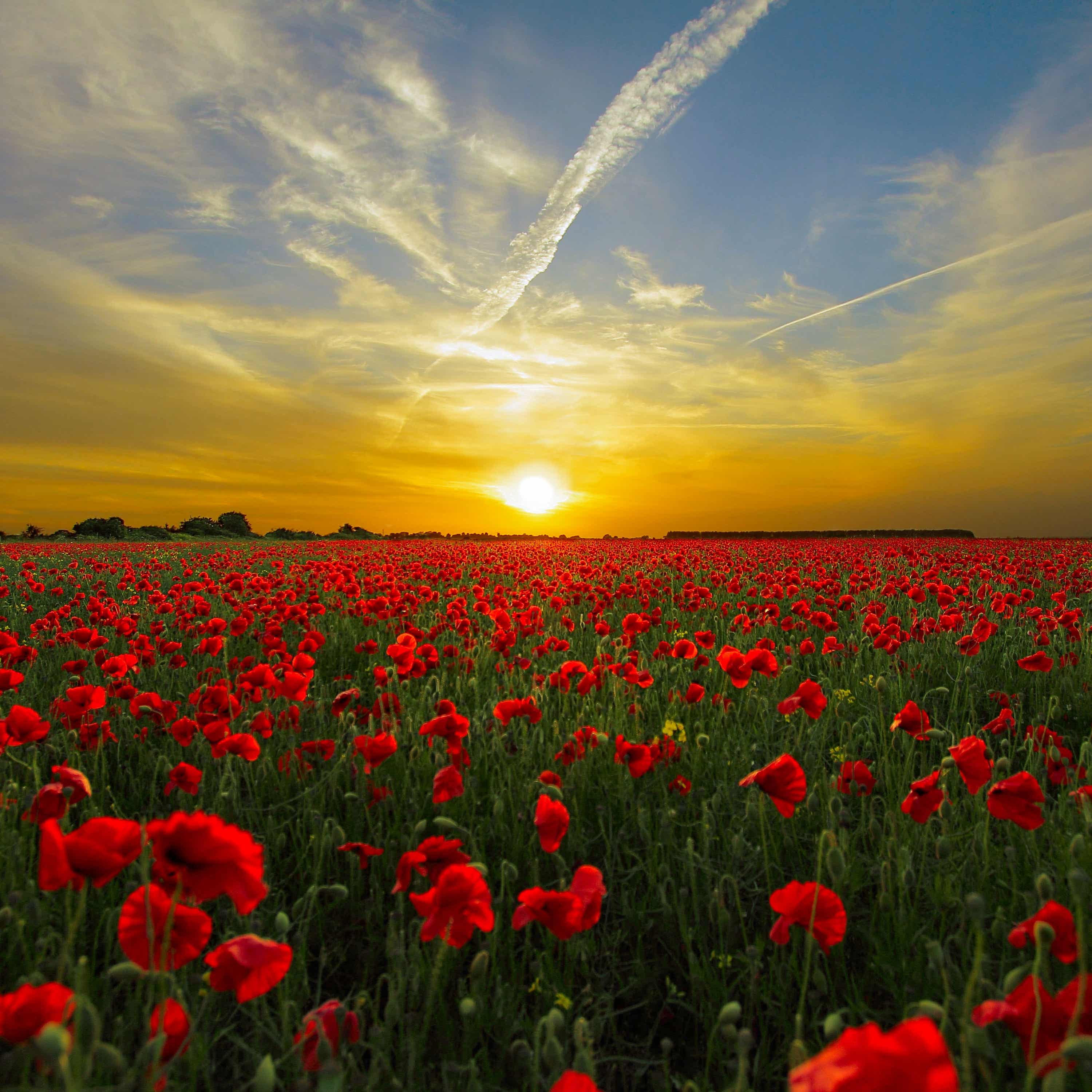 Here Comes the Sun