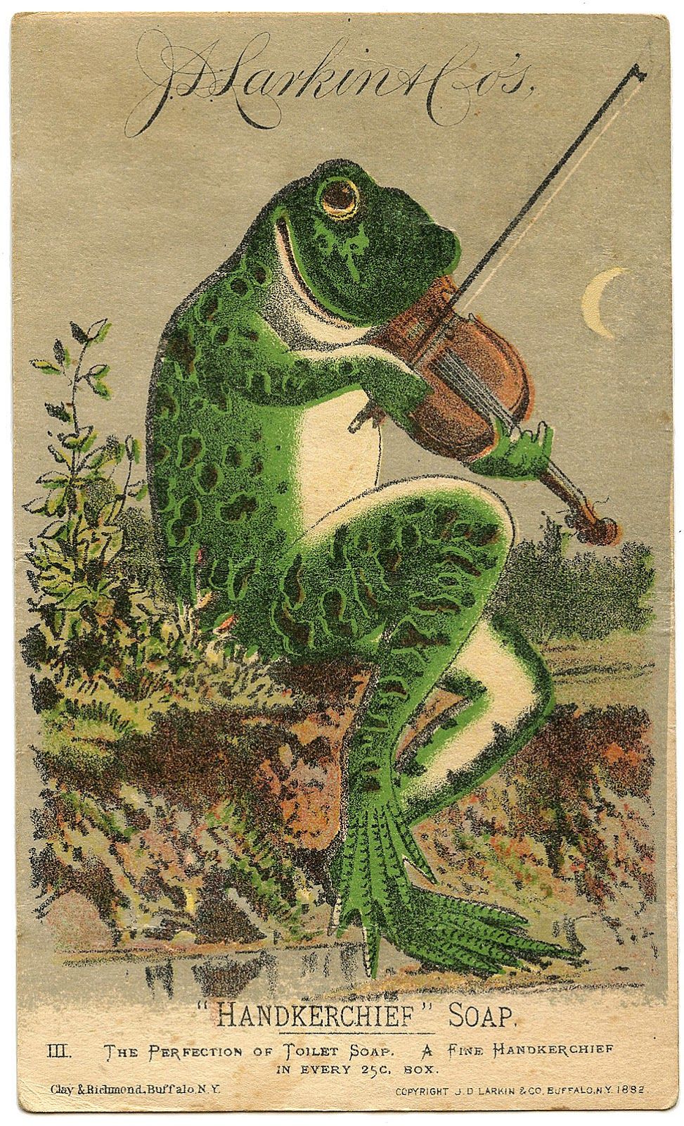 We Don’t Talk About Amphibians