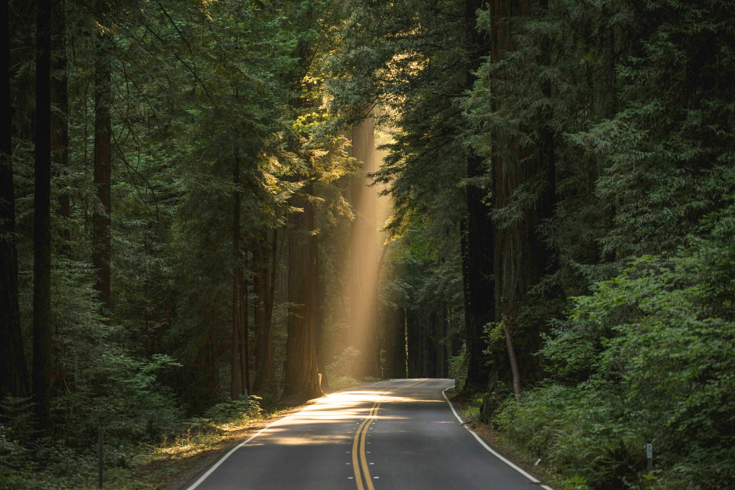 Election Sanity Saver 1: Learning from our Tendencies During Election Season