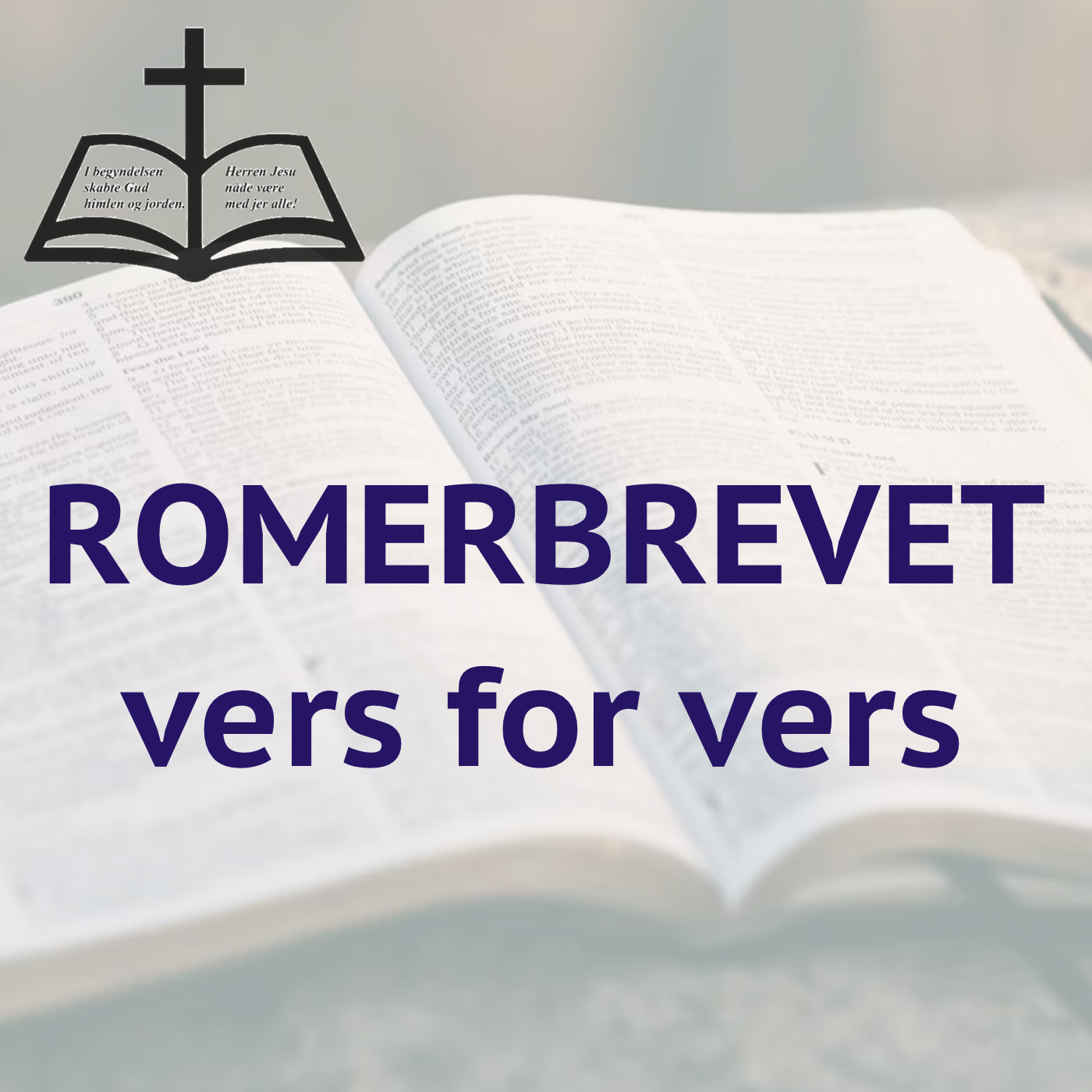 Romerbrevet - vers for vers