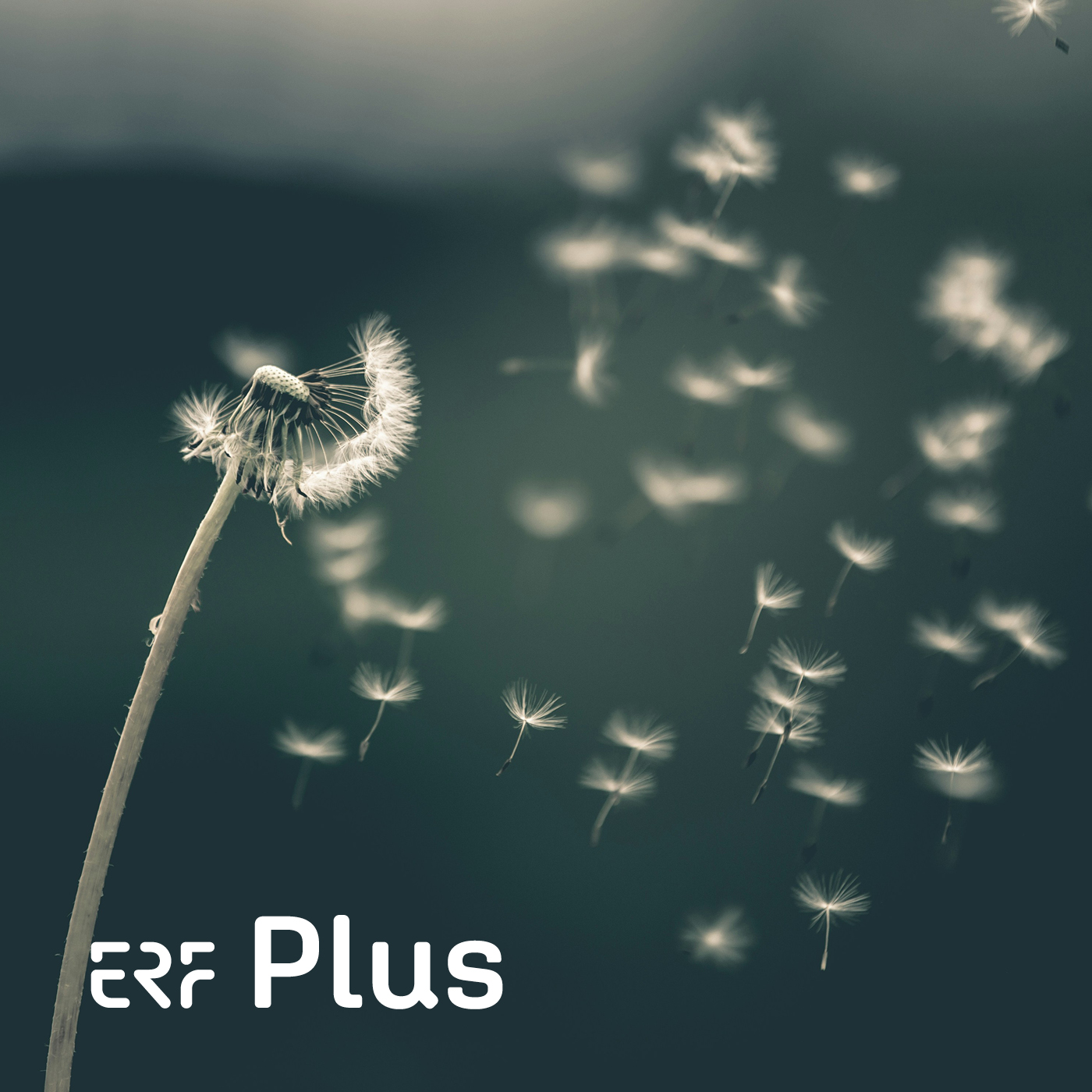 ERF Plus - Ãœber das Loslassen